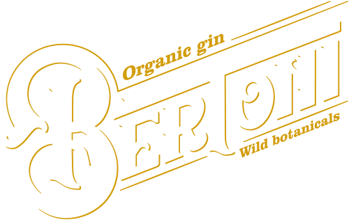 logo bertoni