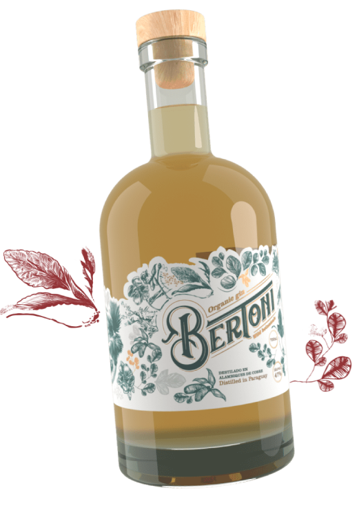 Bertoni Gin Capitulo 1