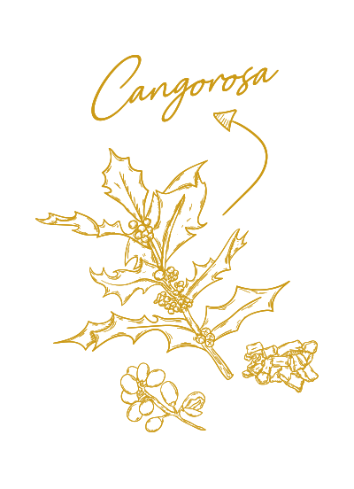 Cangrosa