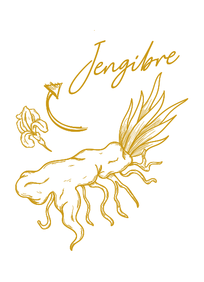 Jengibre